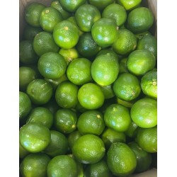 MEXICAN LIME